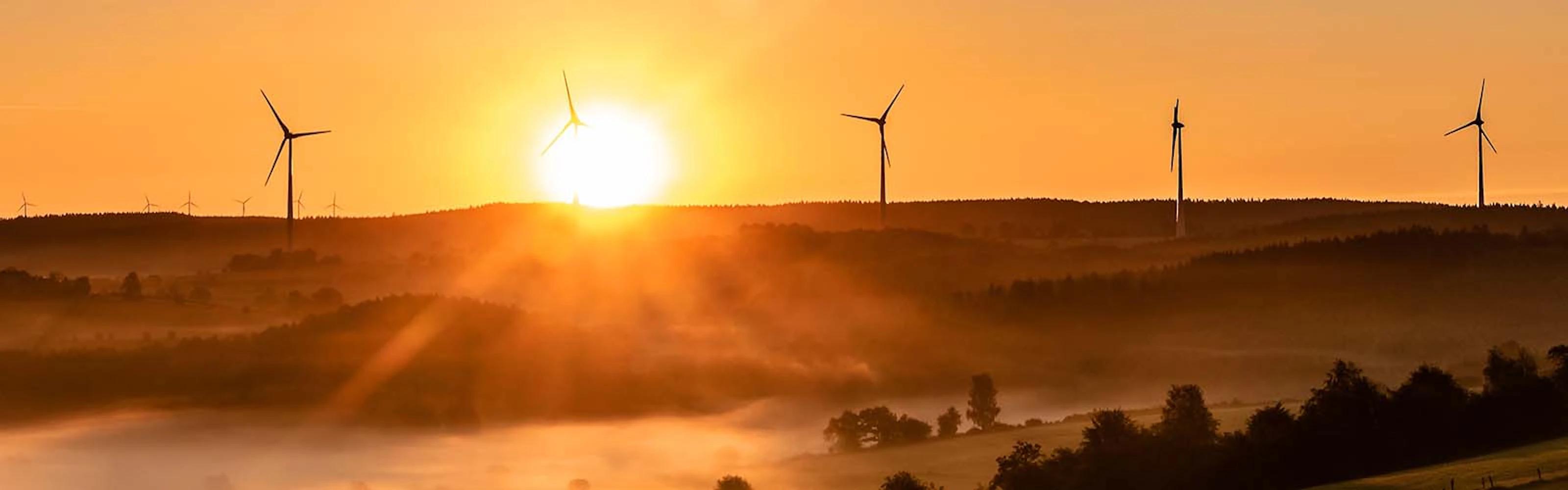 Five windmills at sunset